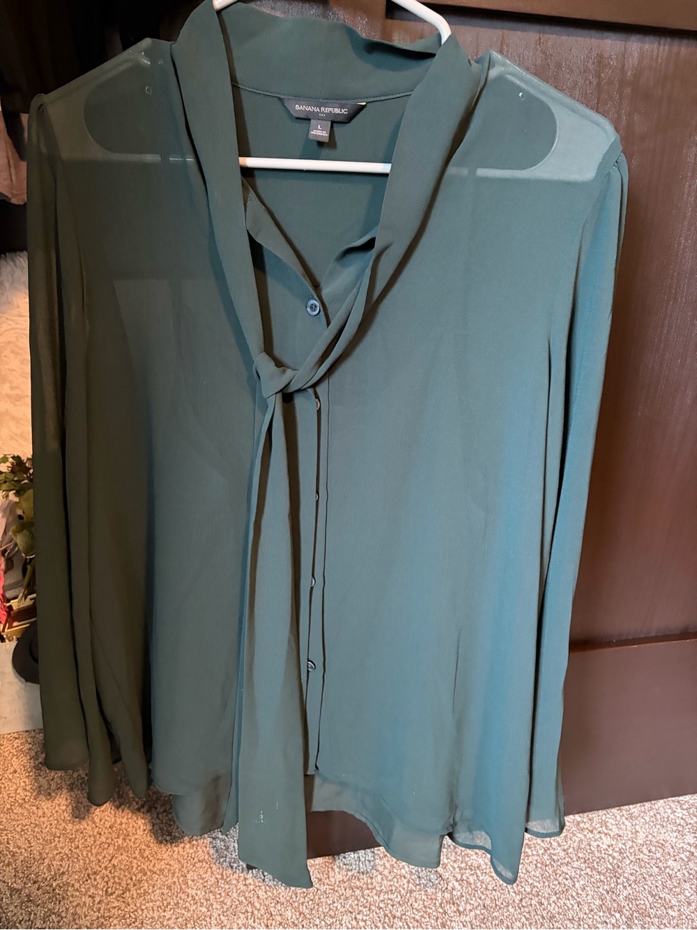 Banana Republic Forest Green Tie-Neck Blouse